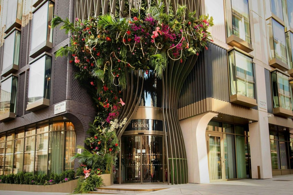 Curio Collection by Hilton